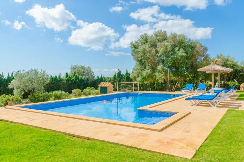 Una piscina al aire libre está rodeada por una terraza soleada, tumbonas y vegetación.