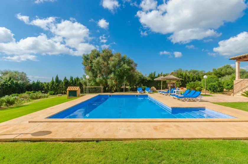 Piscina al aire libre junto a un césped, con asientos y vegetación.