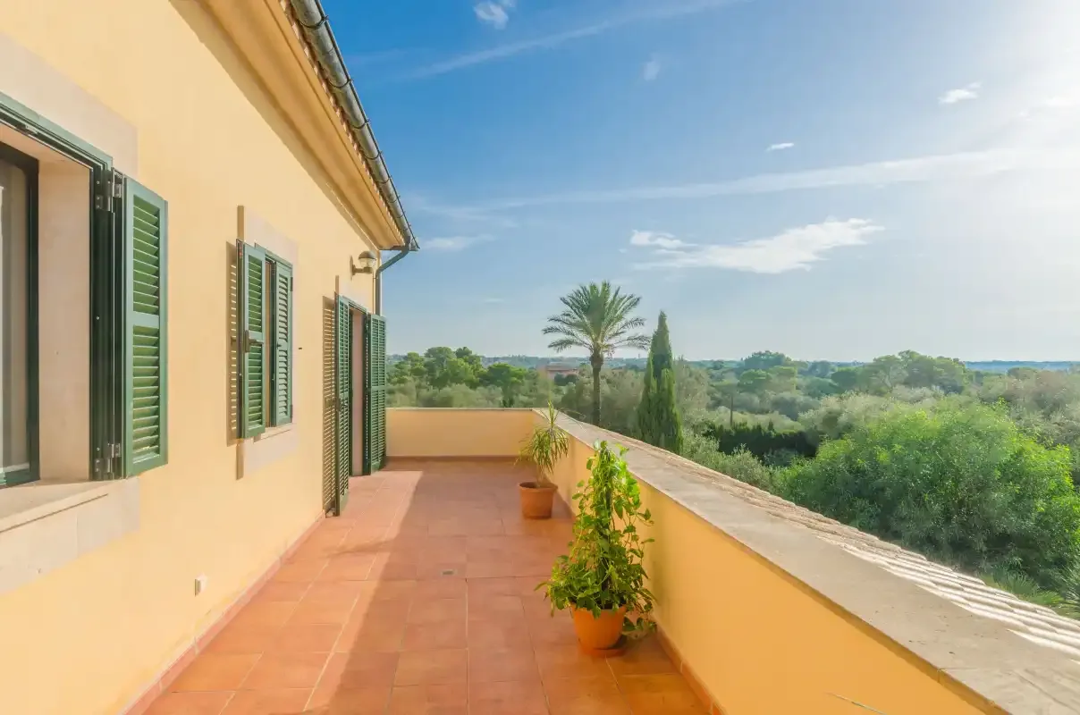 Una terraza soleada con plantas en macetas mira hacia el campo verde.