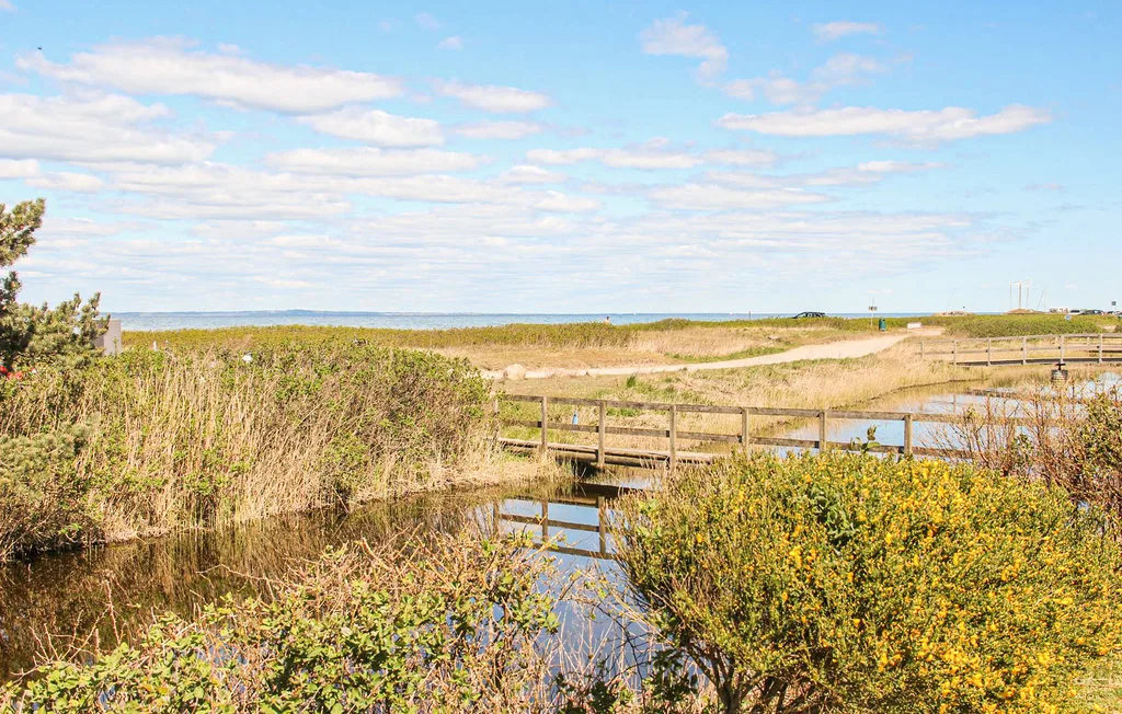 Wetland marsh with a wooden boardwalk crossing shallow water.