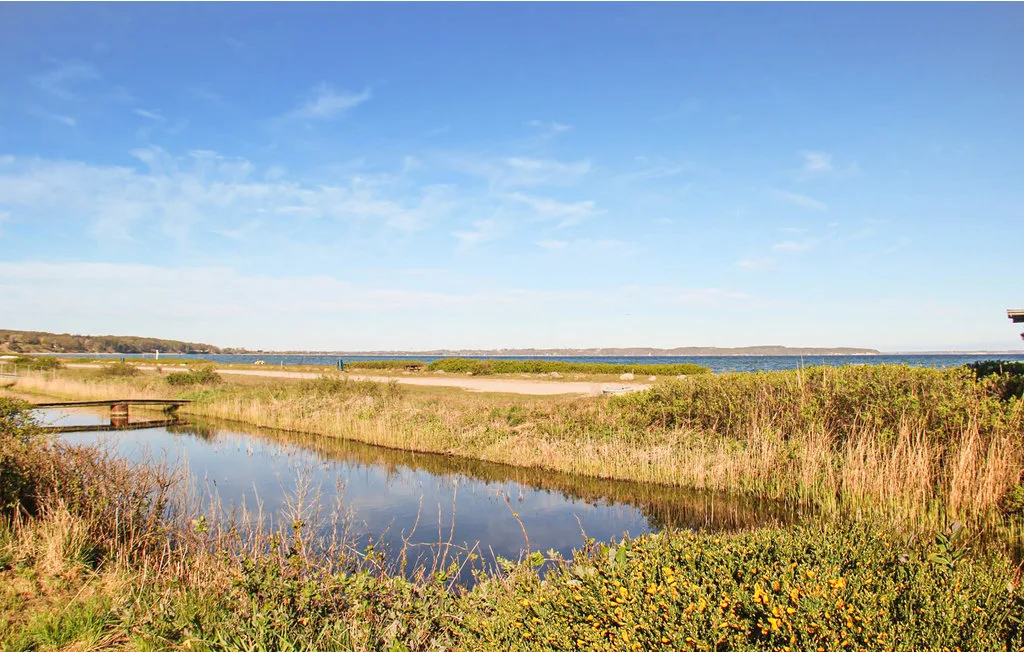 A marshy waterside landscape with reeds and a calm channel beneath a blue sky.