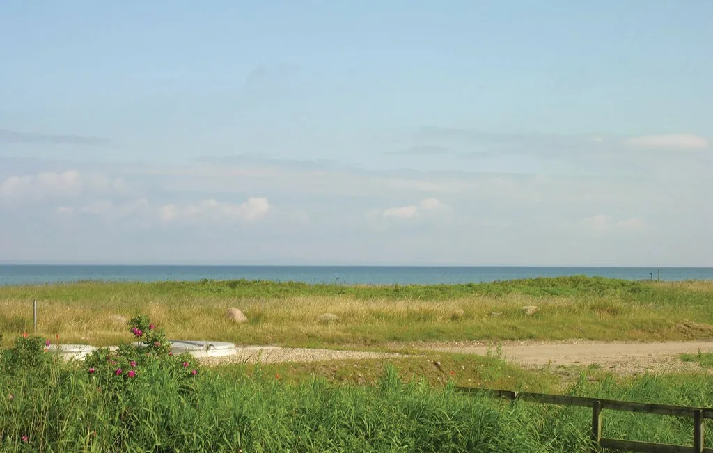 A sandy path crosses grassy dunes beside the sea.