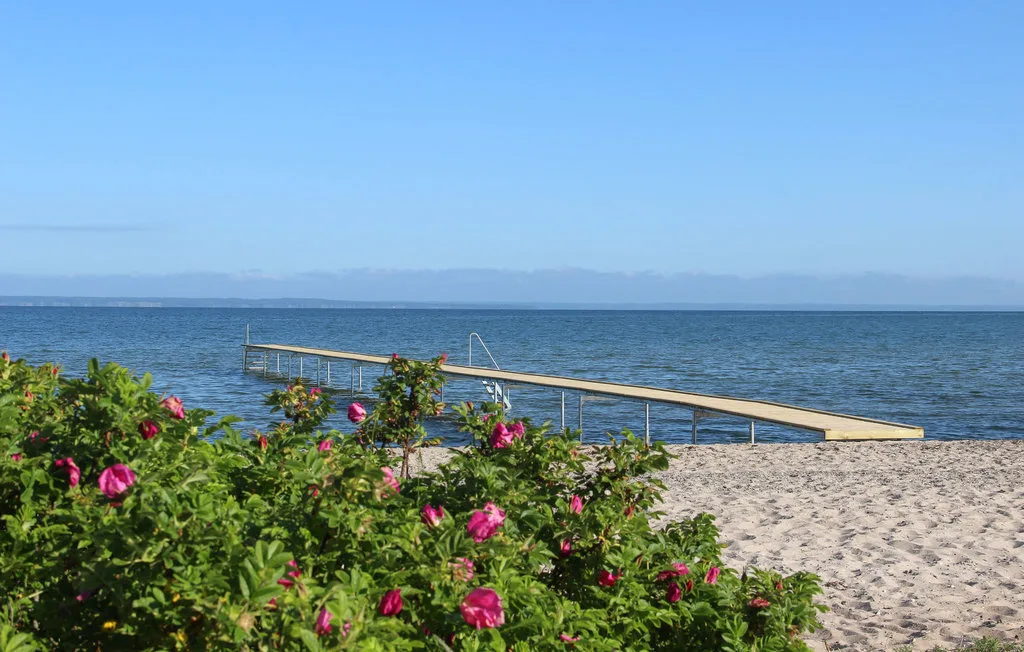 A sandy beach meets calm blue water, with flowering shrubs in the foreground.