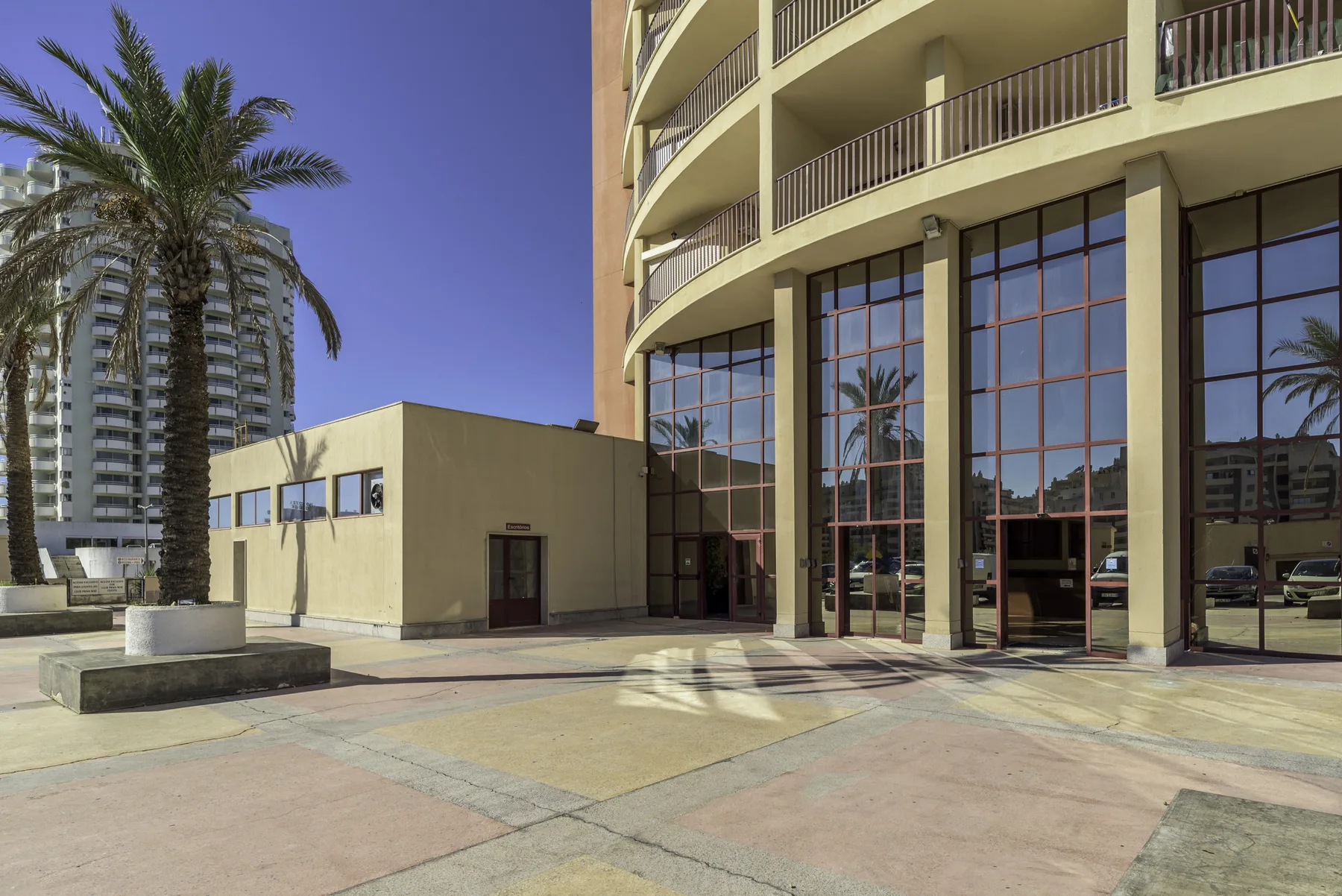 A modern building entrance opens onto a paved plaza with palm trees.
