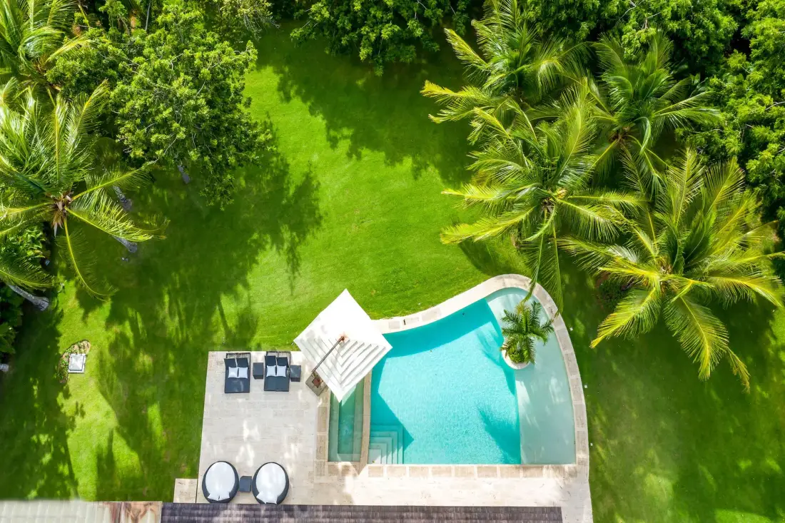 Aerial view of a curved swimming pool beside a green lawn and palm trees.