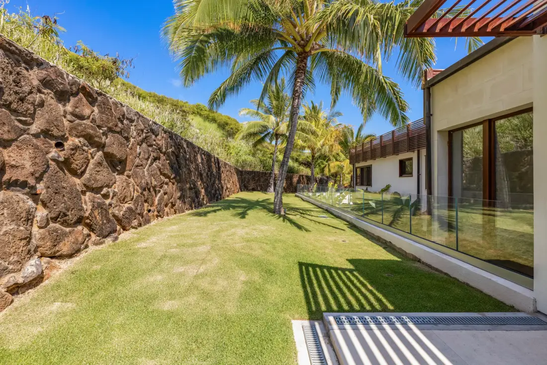 A landscaped yard with a palm tree beside a building with glass windows.