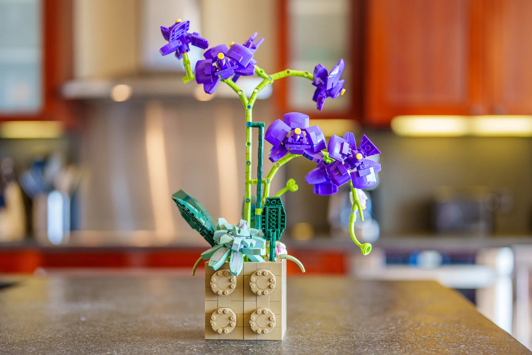 A block-built purple flower arrangement stands on a kitchen counter.
