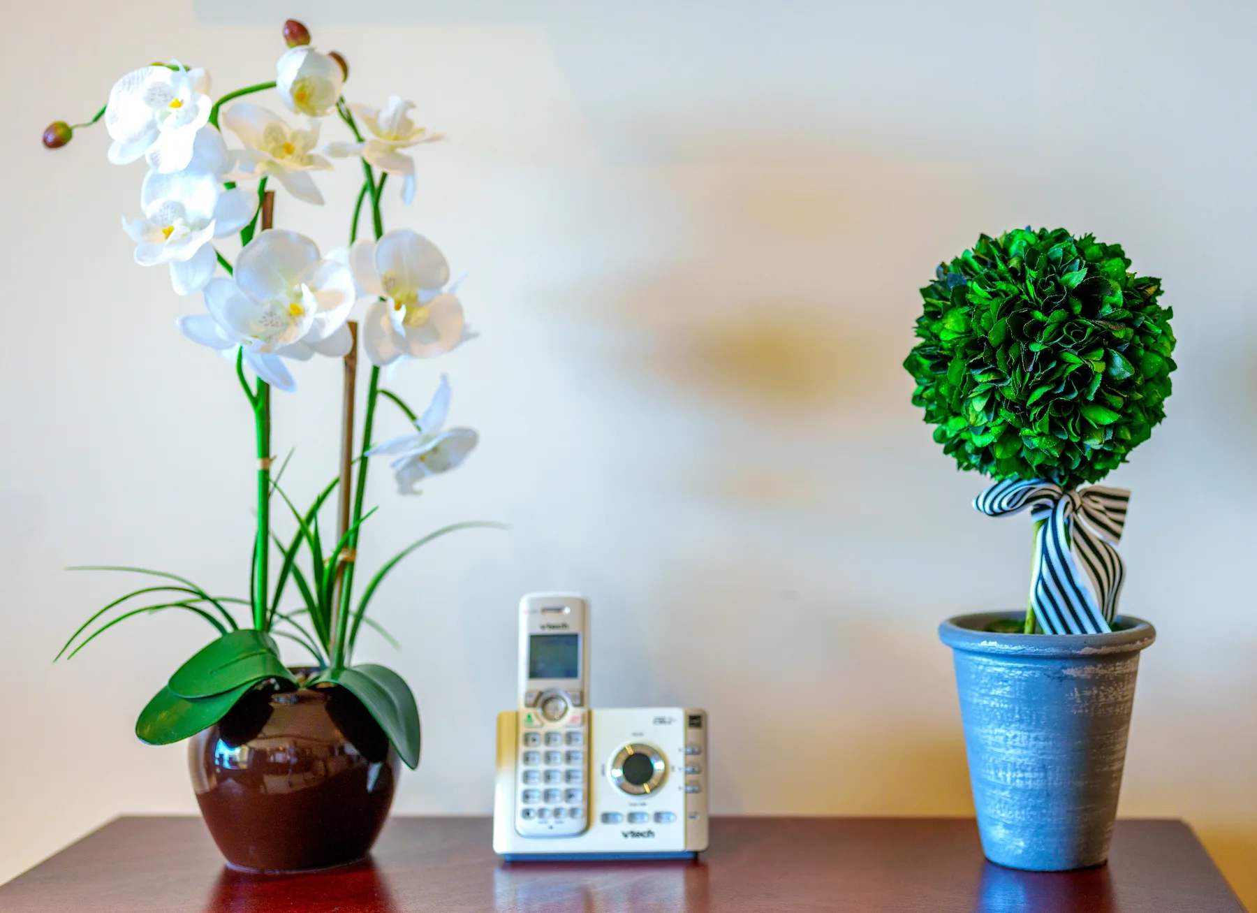A tabletop display with a white orchid, a small green plant, and a cordless phone.