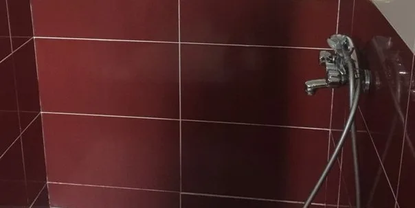 Azulejos del baño