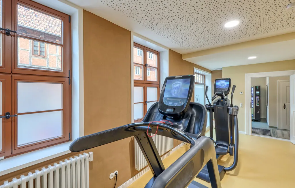 A gym with treadmills and large windows along one wall.
