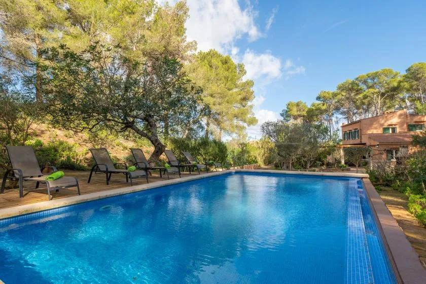 Una piscina al aire libre está junto a asientos reclinables y árboles frondosos.