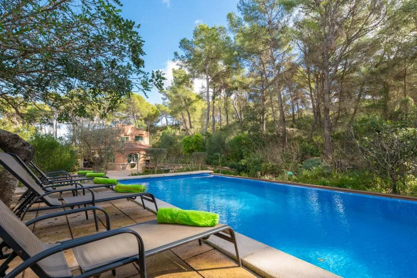 Una piscina al aire libre está rodeada de tumbonas y árboles frondosos.