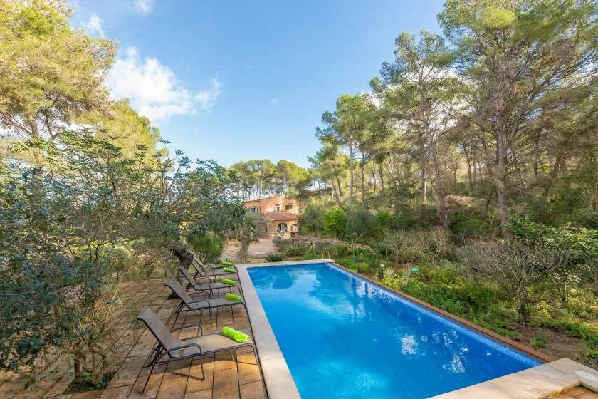 Una piscina exterior está junto a un patio pavimentado, rodeada de árboles.