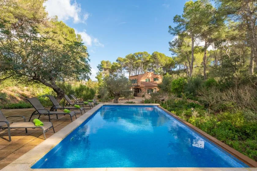 Una piscina al aire libre con asientos para descansar, rodeada de árboles y vegetación.