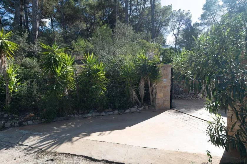 Un camino pavimentado bordea vegetación densa y un pilar de piedra en la entrada.