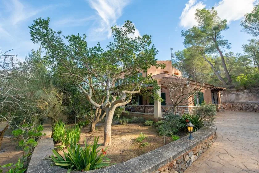 Una casa está entre árboles y plantas de jardín junto a un camino pavimentado.