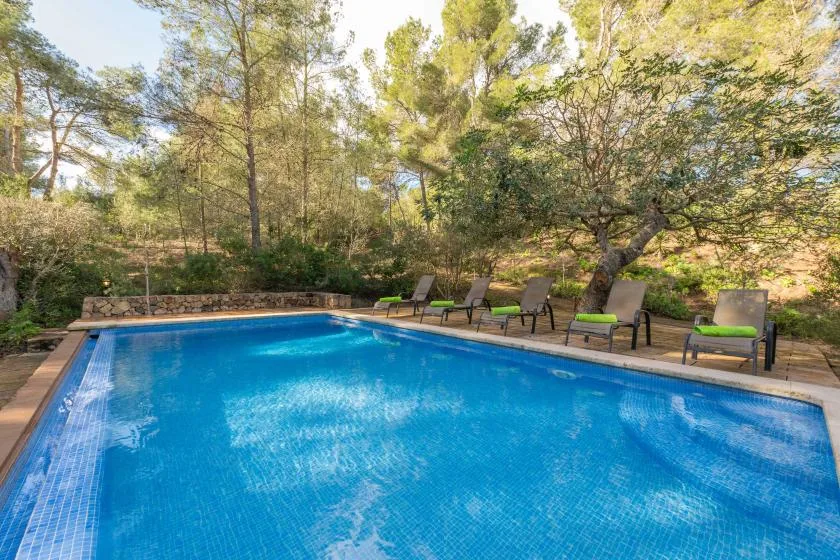 Una piscina rodeada de árboles, con asientos junto al borde.