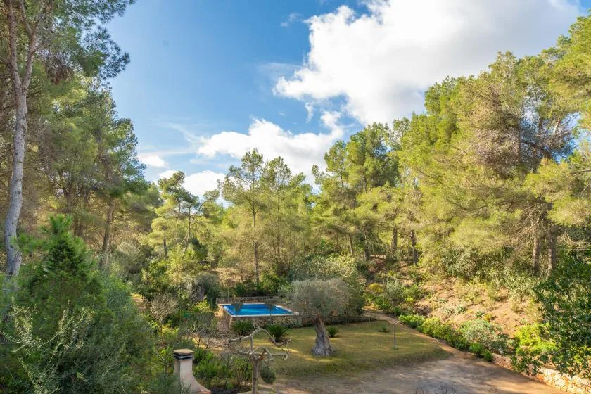 Un jardín arbolado rodea una pequeña piscina bajo un cielo luminoso y nublado.