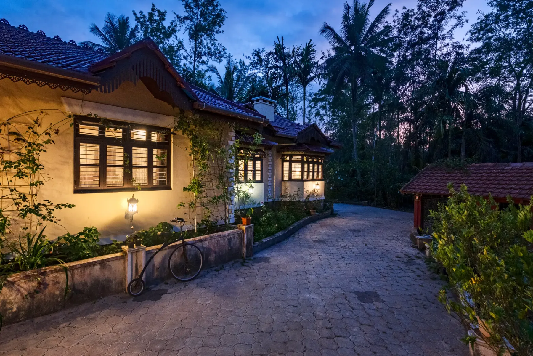 A warmly lit house stands beside a paved driveway lined with tropical trees.