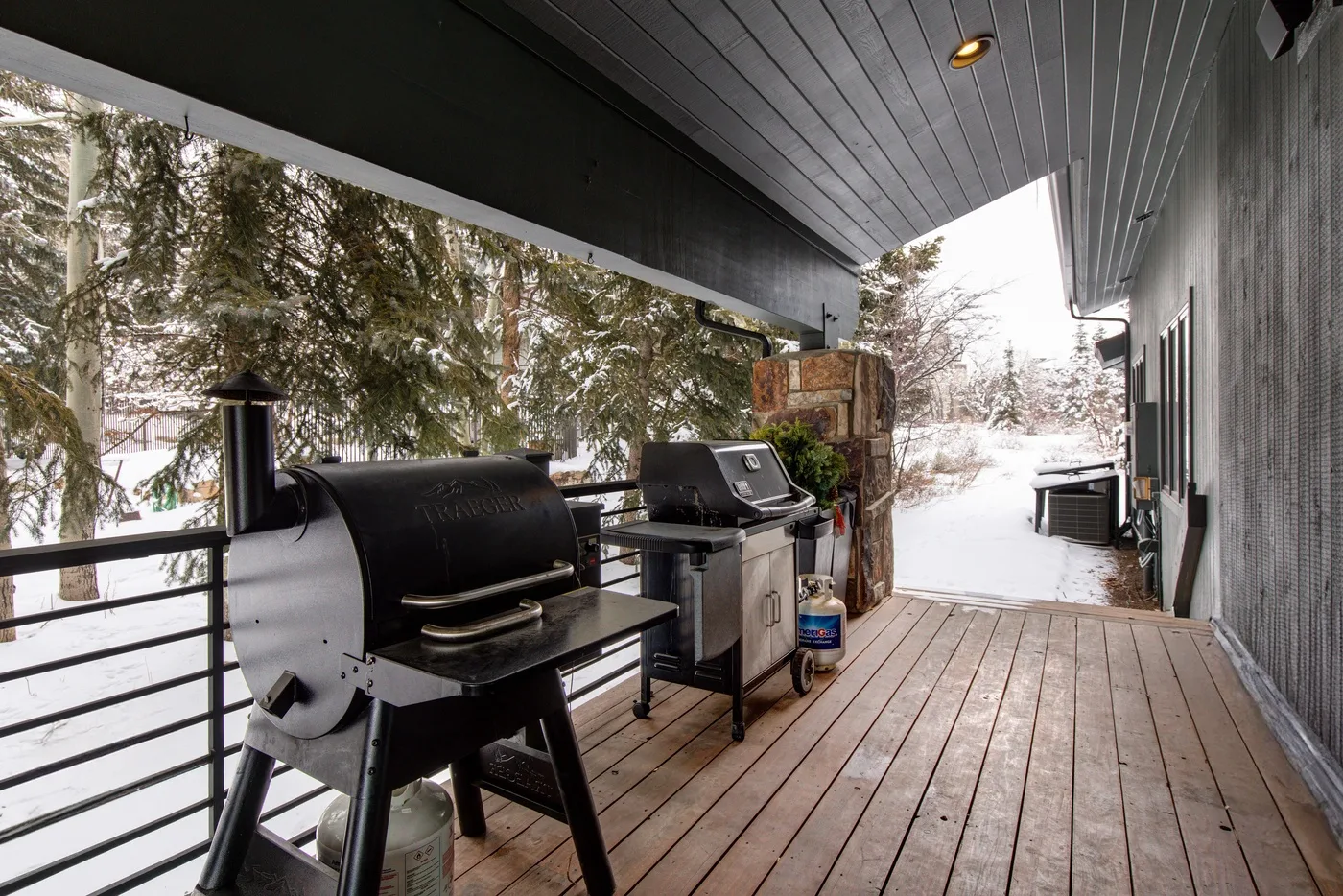 Una terraza exterior cubierta con una parrilla y árboles nevados al otro lado de la barandilla.
