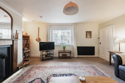 Sala de estar con televisor, chimenea y alfombra estampada.