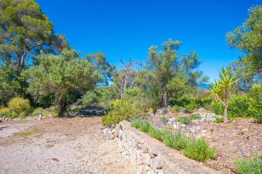Un sendero de jardín pasa entre bordes bajos de piedra y árboles frondosos.