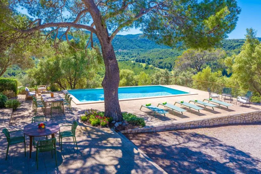 Una piscina al aire libre está en una terraza pavimentada bajo un árbol grande.