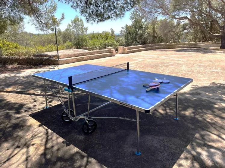 Una mesa de ping-pong al aire libre en una pista pavimentada bajo los árboles.