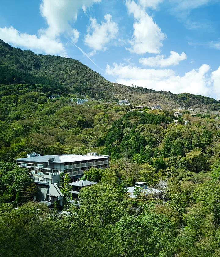 Property location and access