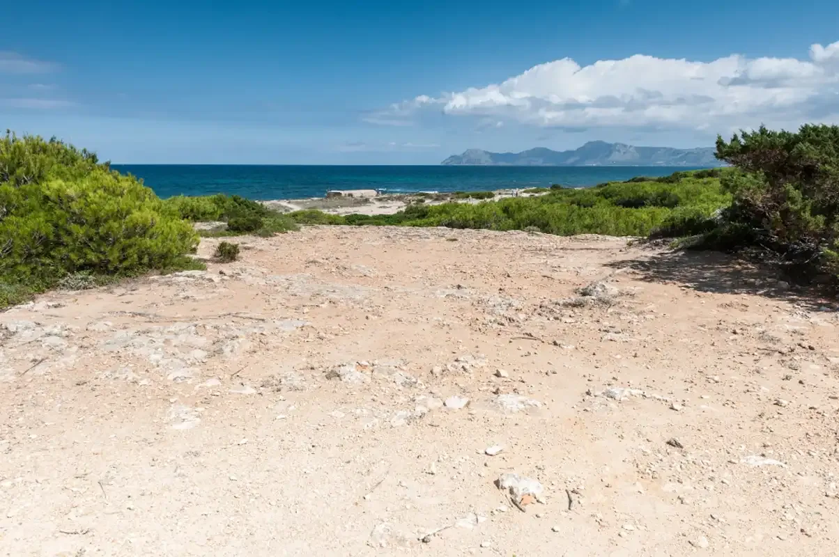 Un sendero costero arenoso atraviesa arbustos bajos y conduce al mar.