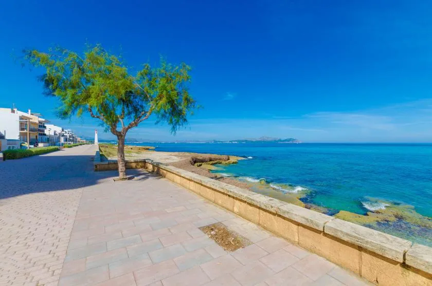 Un paseo marítimo pavimentado bordea el agua azul junto a un muro bajo de piedra.