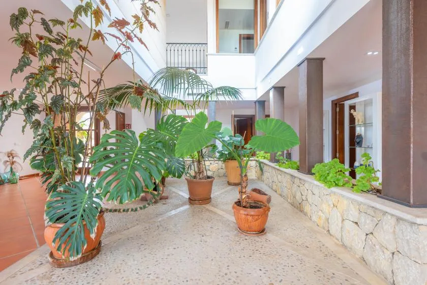 A bright indoor atrium with potted tropical plants and an upper-level balcony.
