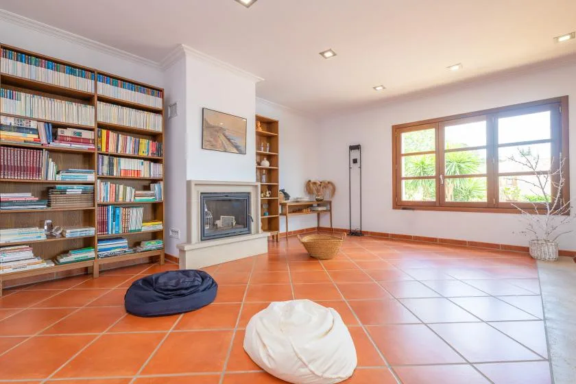 A bright living room with bookshelves, a fireplace, and a large window.