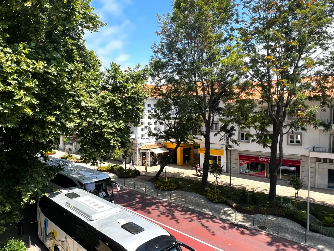 Una calle arbolada con autobuses, escaparates y edificios blancos.
