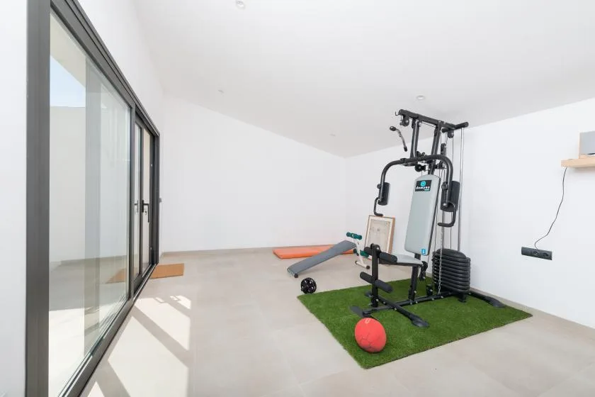 A bright indoor exercise area with fitness equipment on a green mat.