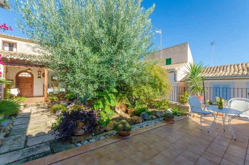 A sunny courtyard patio with outdoor seating, potted plants, and a leafy tree.