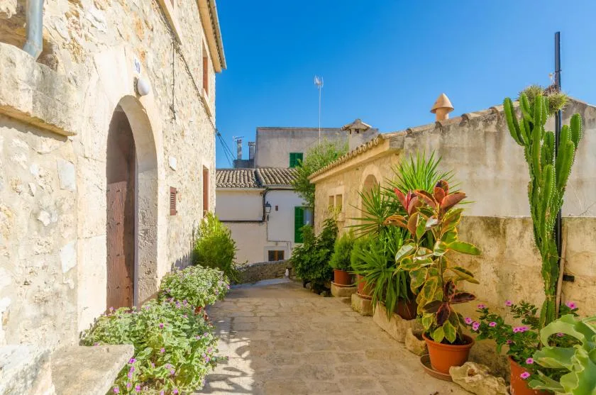 A sunlit stone courtyard with potted plants and a paved walkway.