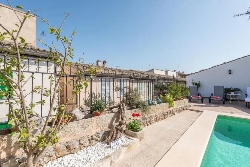 A sunny outdoor pool terrace with potted plants and seating along the wall.