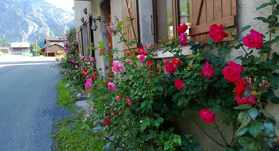 Gîte Auberge de Salvagny