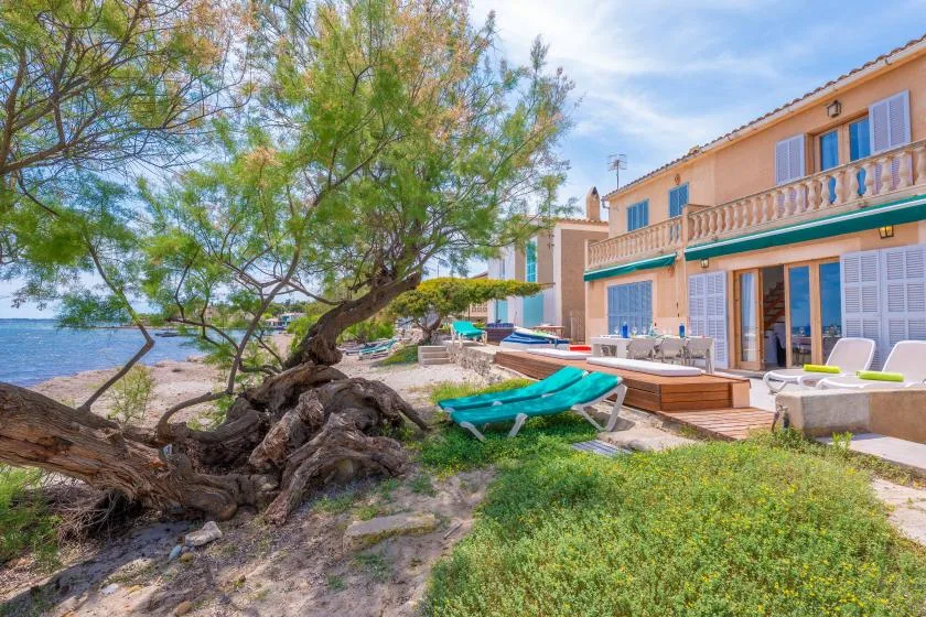 A seaside house with a leafy tree and sun loungers beside the water.
