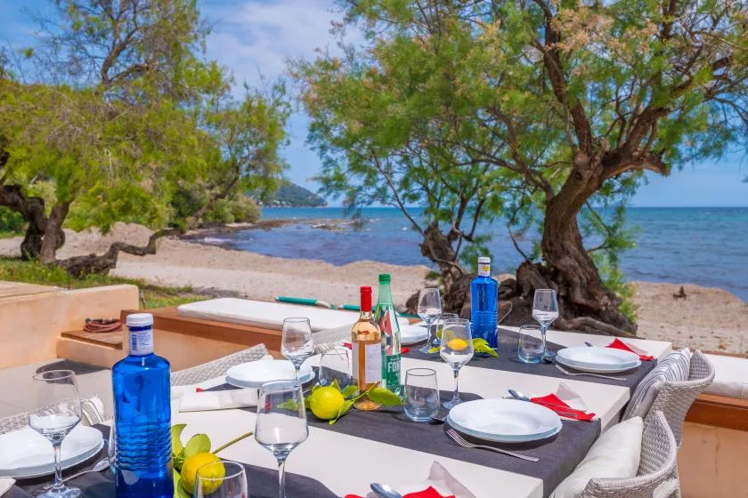 An outdoor dining table is set with plates and drinks beside a tree-lined beach.