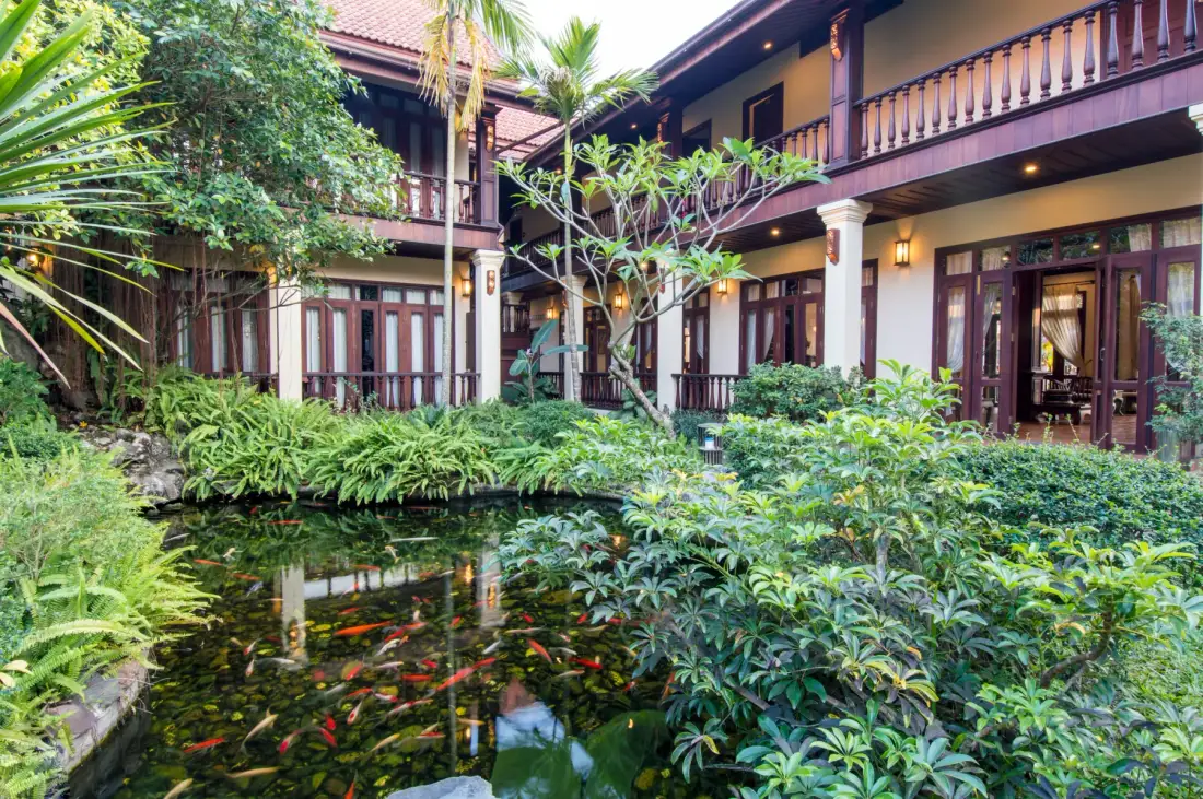 Estanque de carpas koi y frangipani en el patio, enmarcados por los balcones superiores del hotel.