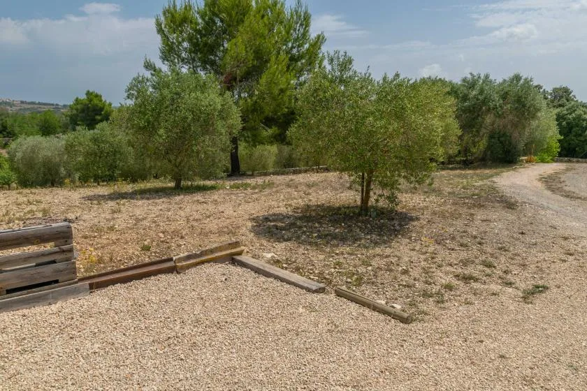 Una zona exterior seca y pedregosa, con árboles dispersos y un camino de tierra.