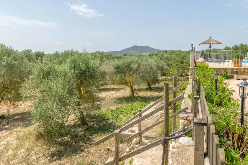 Un sendero de jardín pasa junto a hileras de árboles, con una terraza al fondo.
