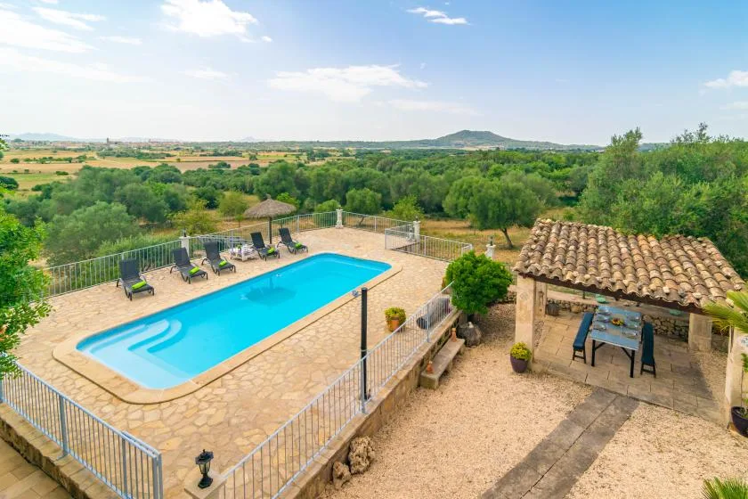 Piscina al aire libre junto a un patio con techo de tejas y vegetación al fondo.