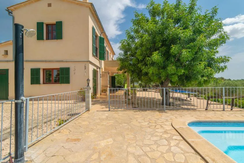 Zona exterior pavimentada junto a una casa, con piscina y un árbol frondoso.