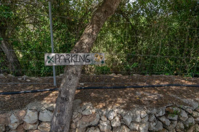 Una zona exterior arbolada junto a un muro de piedra y una cerca de alambre.