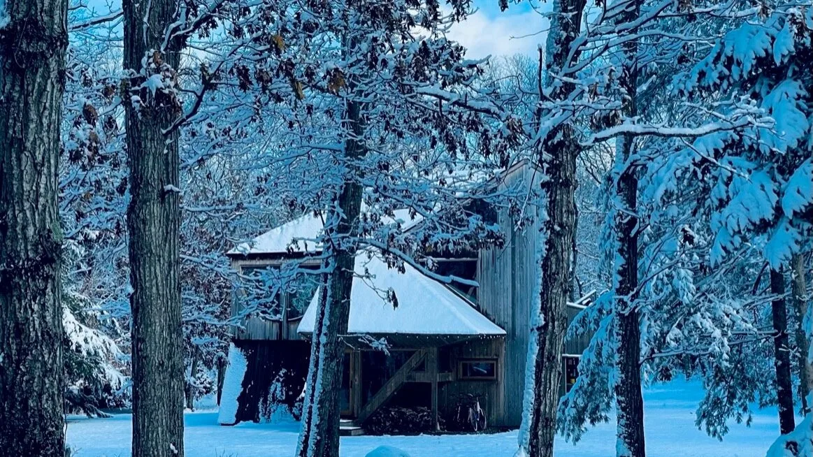 Una cabaña cubierta de nieve está entre árboles de hoja perenne en un bosque invernal.