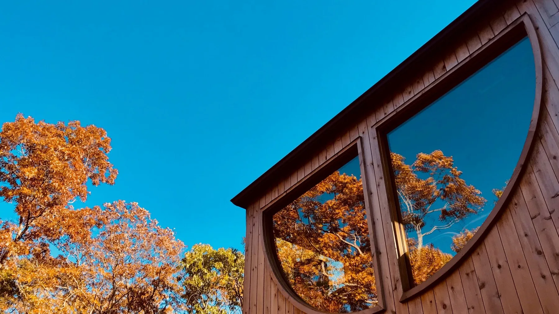 El exterior de un edificio de madera con grandes ventanas refleja árboles otoñales.
