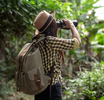Imagen de una actividad de observación de aves